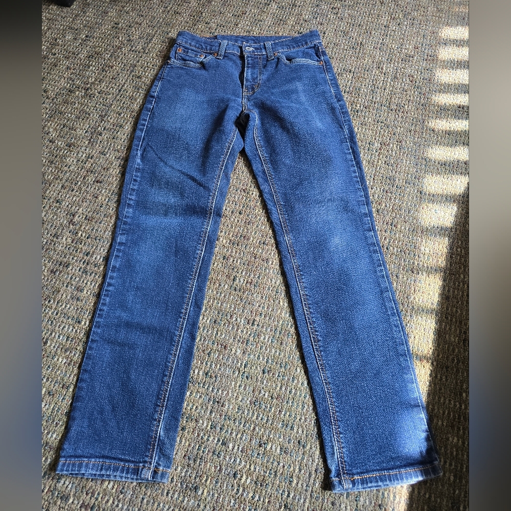 Levi's Blue Jeans 541 W29L30